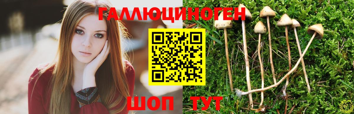 Галлюциногенные грибы Cubensis Майский